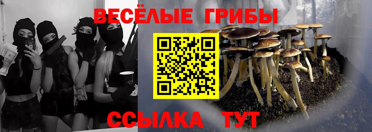 Псилоцибиновые грибы GOLDEN TEACHER Березники